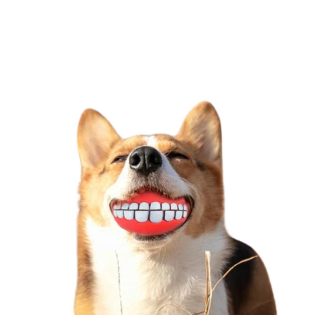 Toy Ball ChuckleChew