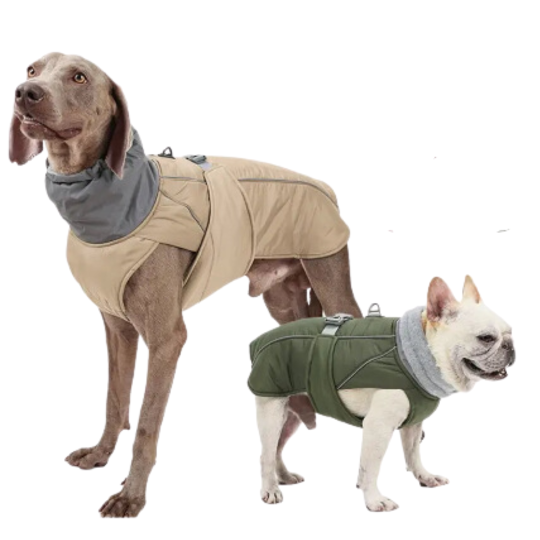 Luxury Winter Jacket