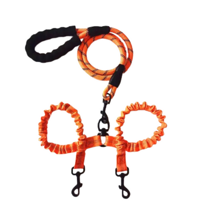 Double Lead Dog Leash