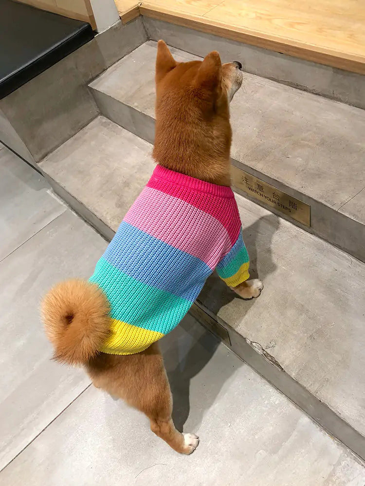 Rainbow Sweater