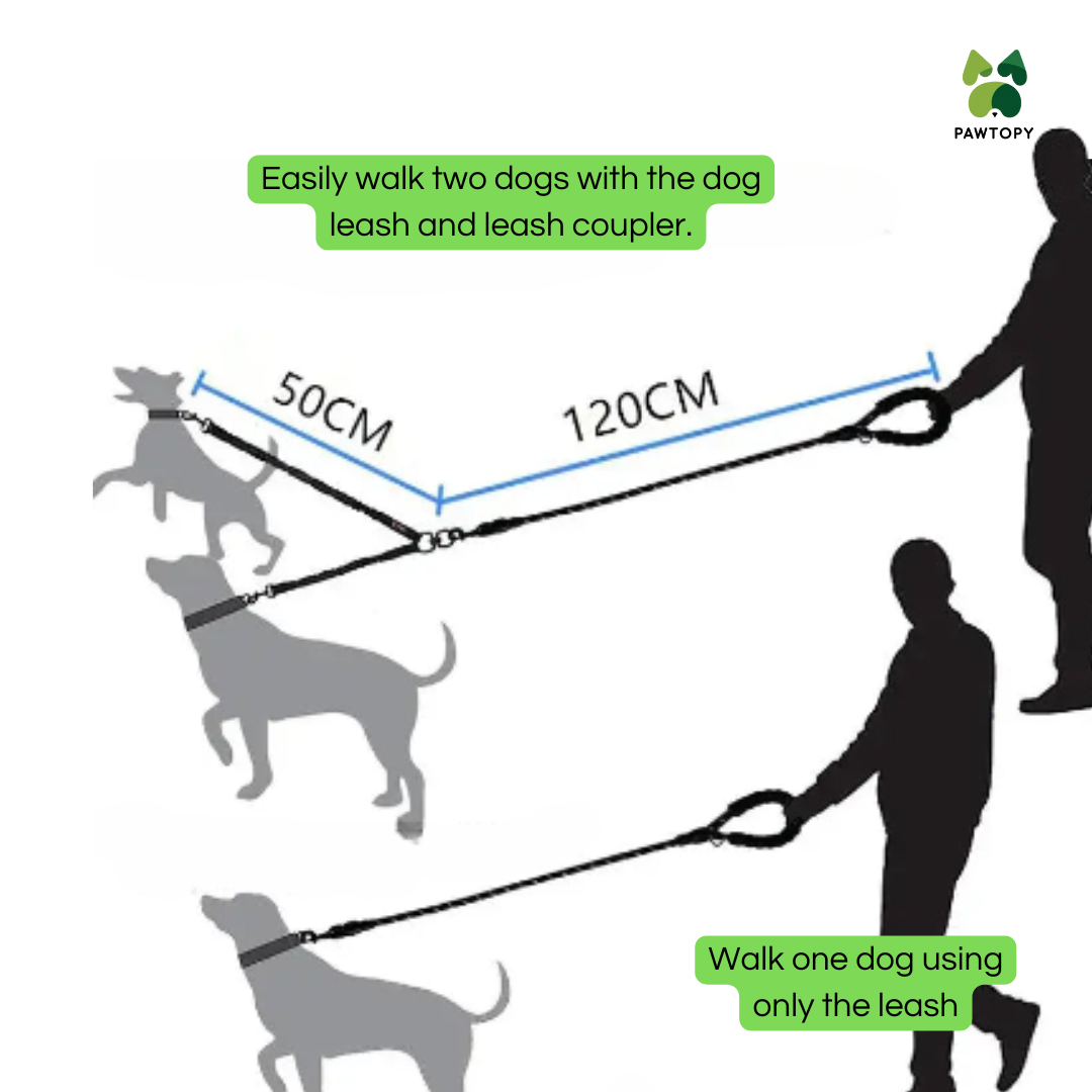 Double Lead Dog Leash