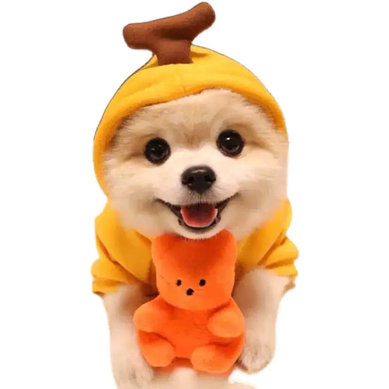 Cozy Pet Costumes