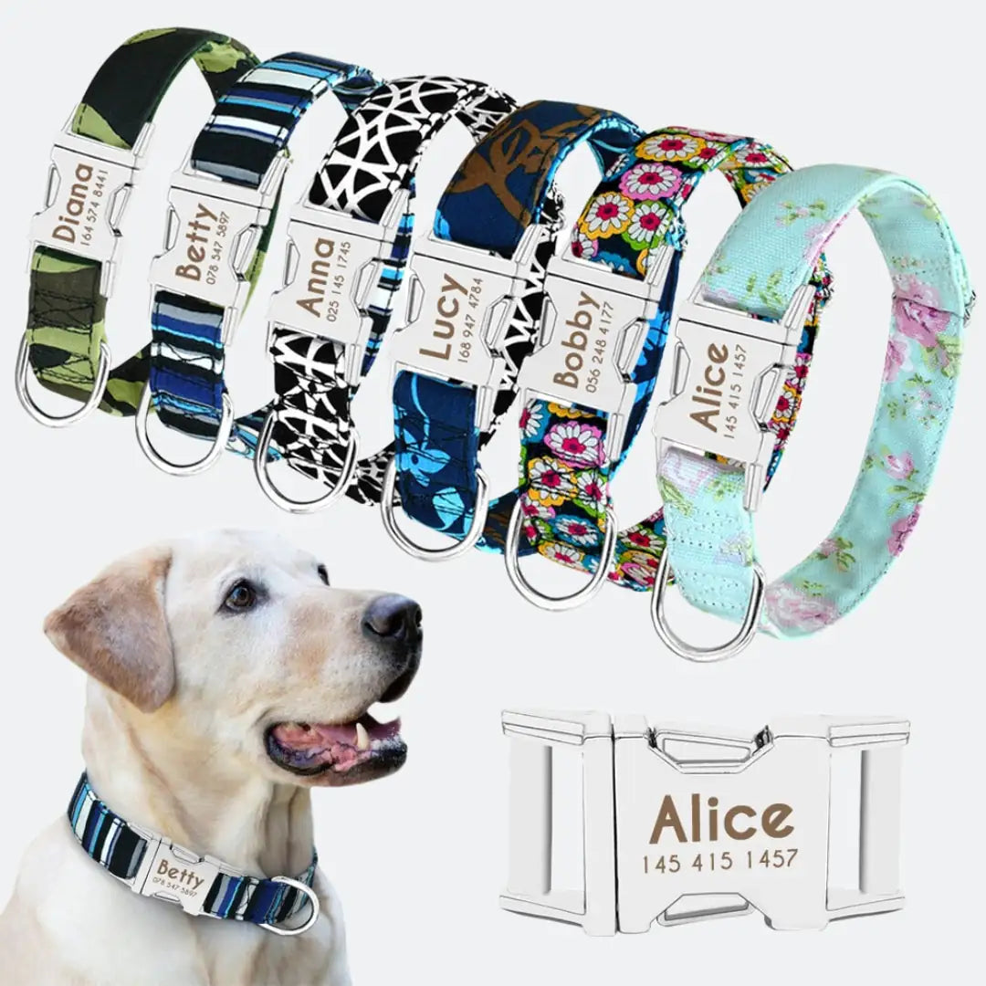 Personalized Collar