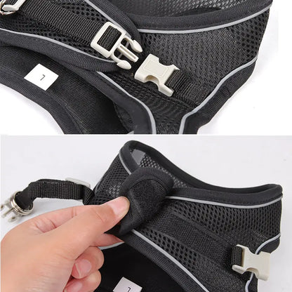 Dog Harness and Leash Combo