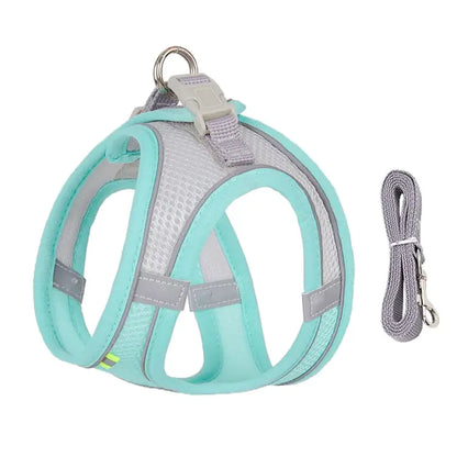 Dog Harness and Leash Combo