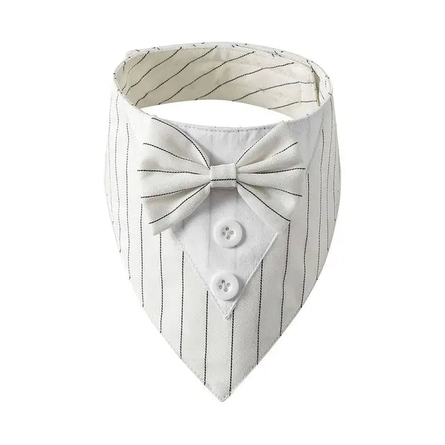 Tuxedo Bow Tie Collar