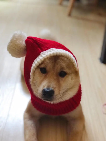 CozyPet - Christmas Hat