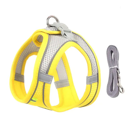 Dog Harness and Leash Combo