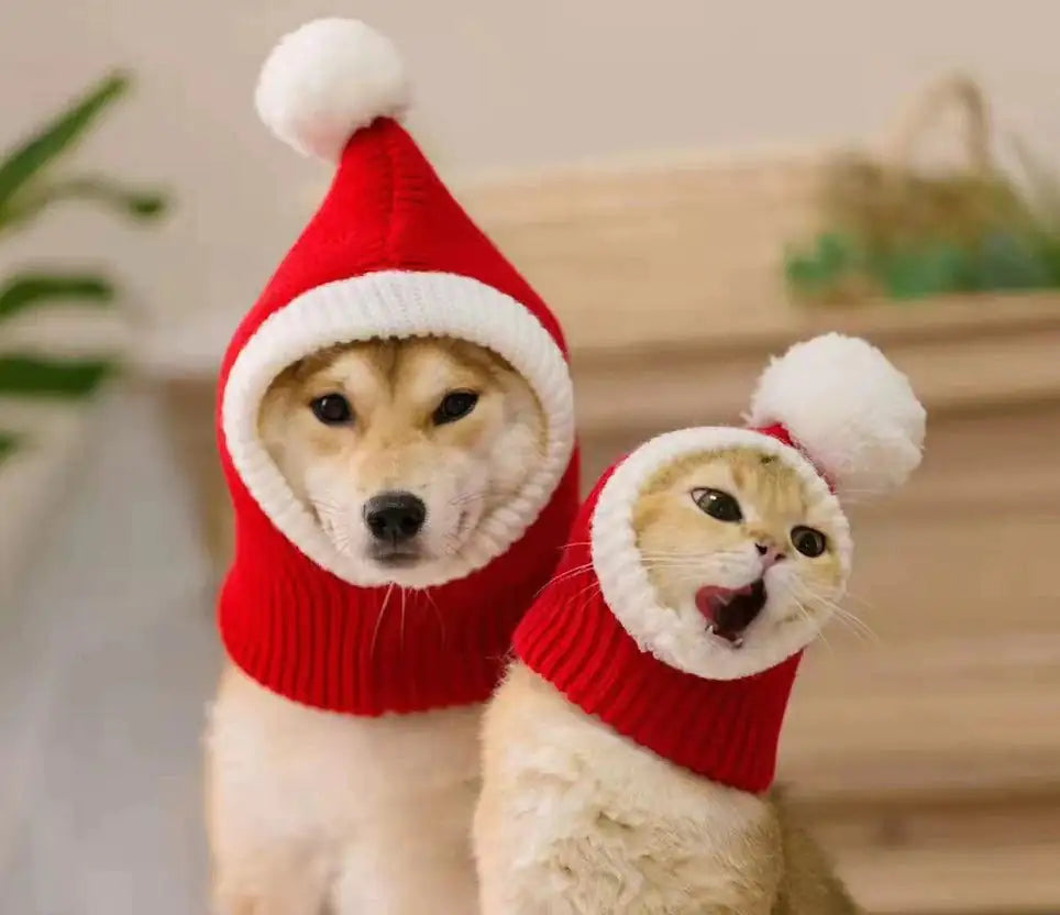 CozyPet - Christmas Hat