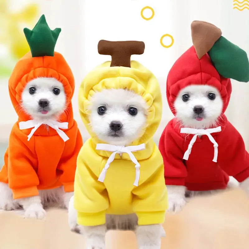 Cozy Pet Costumes