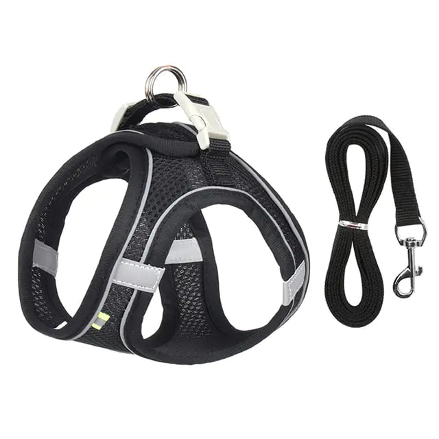 Dog Harness and Leash Combo