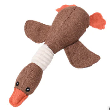 Duck Toy