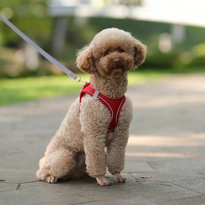 Dog Harness and Leash Combo