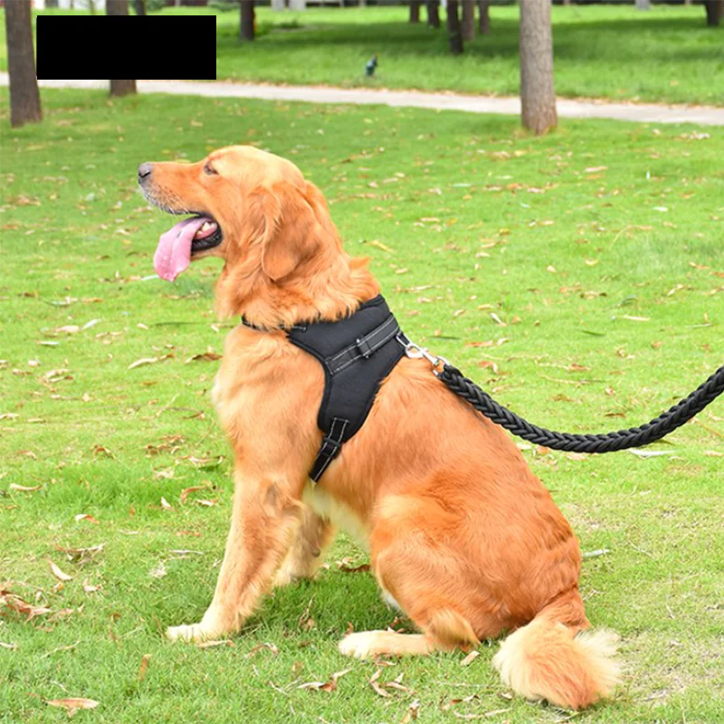 Pet Walking Harness Adjustable Comfort