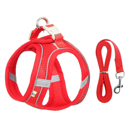 Dog Harness and Leash Combo