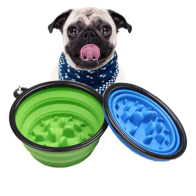 Portable Anti-Gulp Slow Feeder Bowl