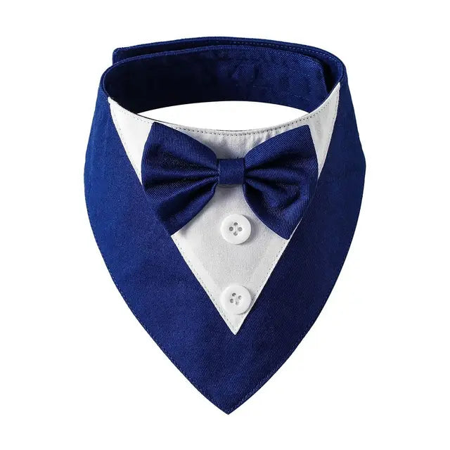 Tuxedo Bow Tie Collar