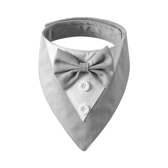 Tuxedo Bow Tie Collar