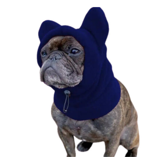 Comfort Dog Hat
