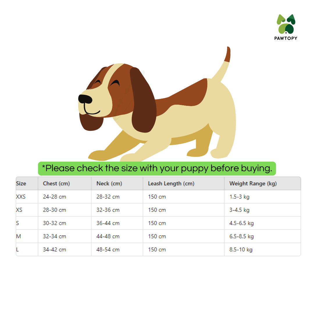Dog Harness and Leash Combo