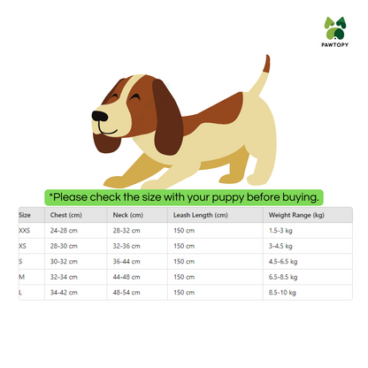 Dog Harness and Leash Combo