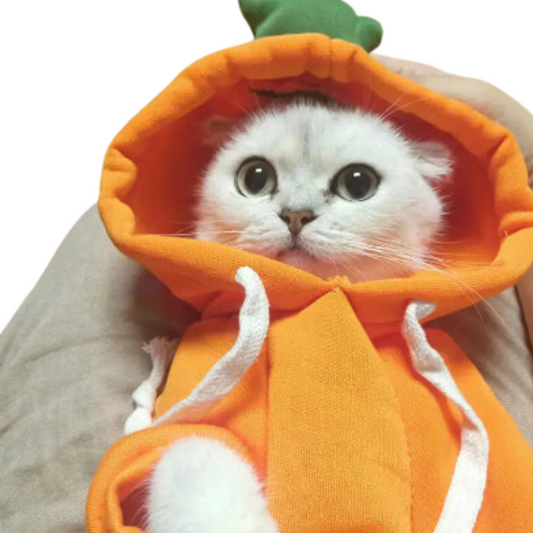 Cozy Pet Costumes