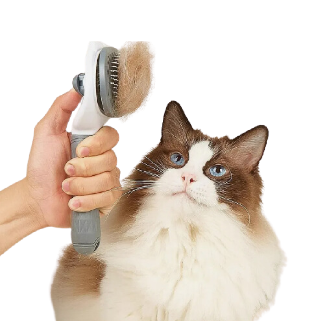Cat Brush