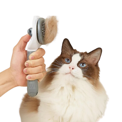 Cat Brush