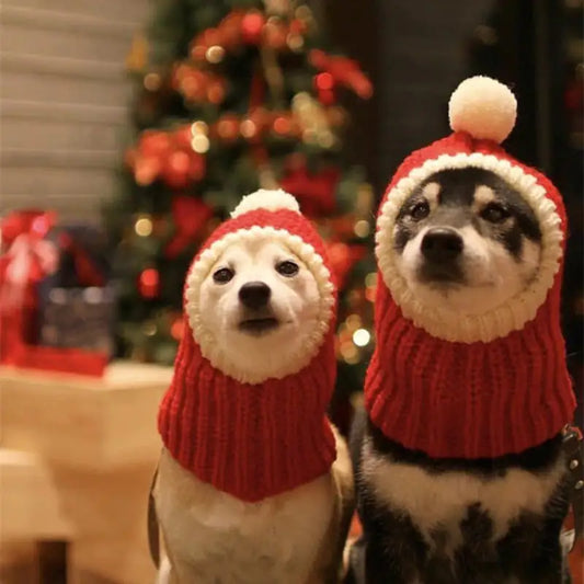 CozyPet - Christmas Hat