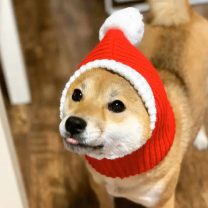 CozyPet - Christmas Hat