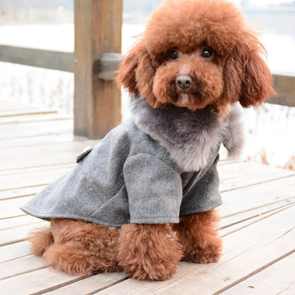 Pet Jacket