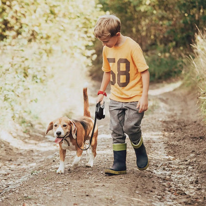 Retractable Dog Leash (with Dispenser and Poop Bags)