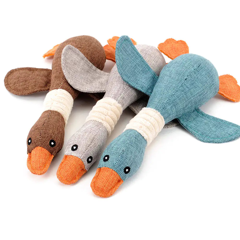 Duck Toy