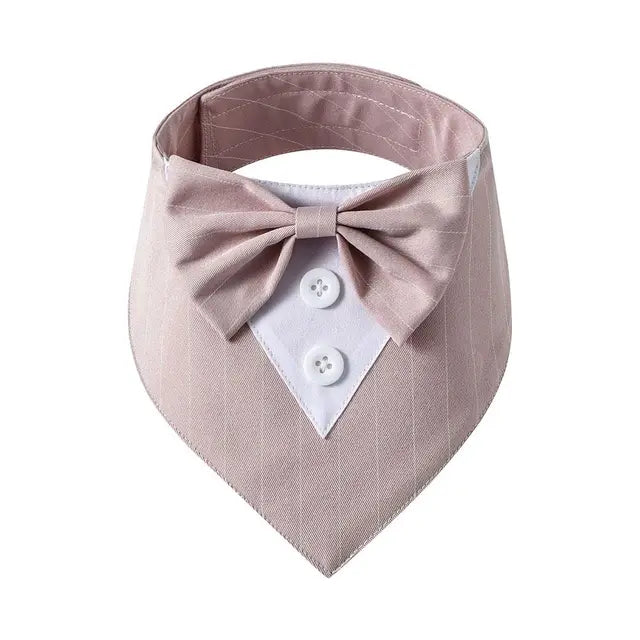 Tuxedo Bow Tie Collar