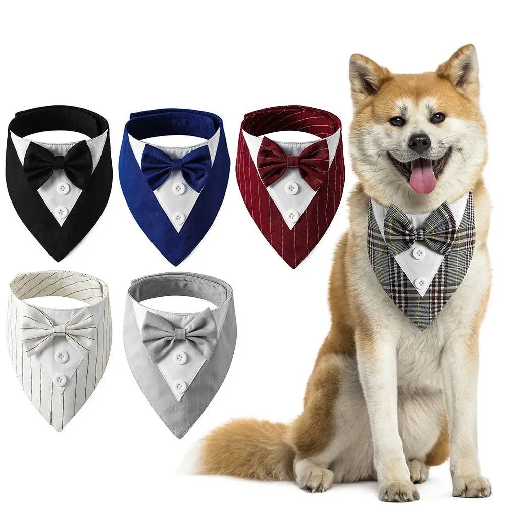 Tuxedo Bow Tie Collar