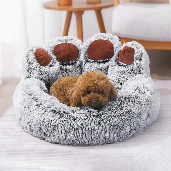 Small Dog Bed