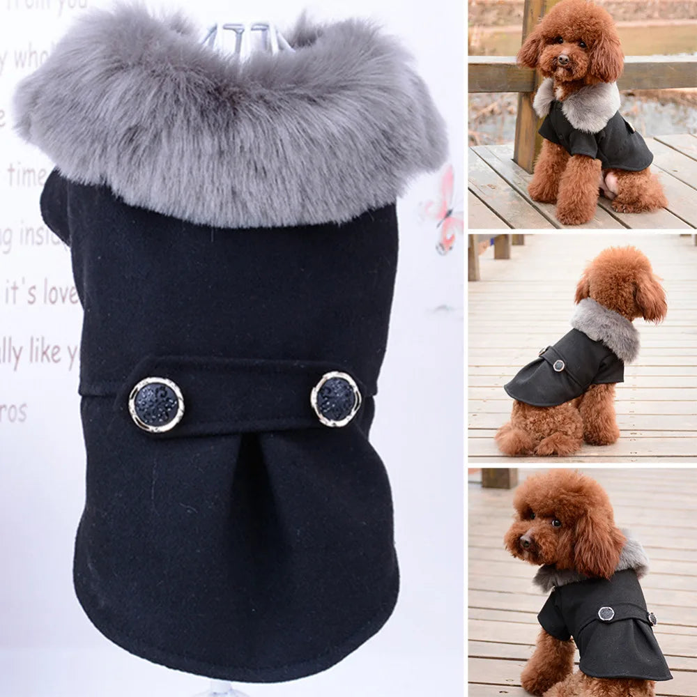 Pet Jacket