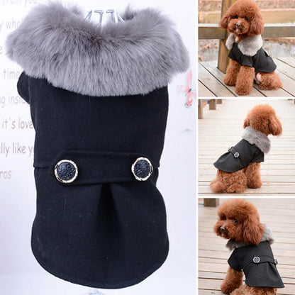 Pet Jacket