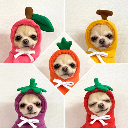 Cozy Pet Costumes