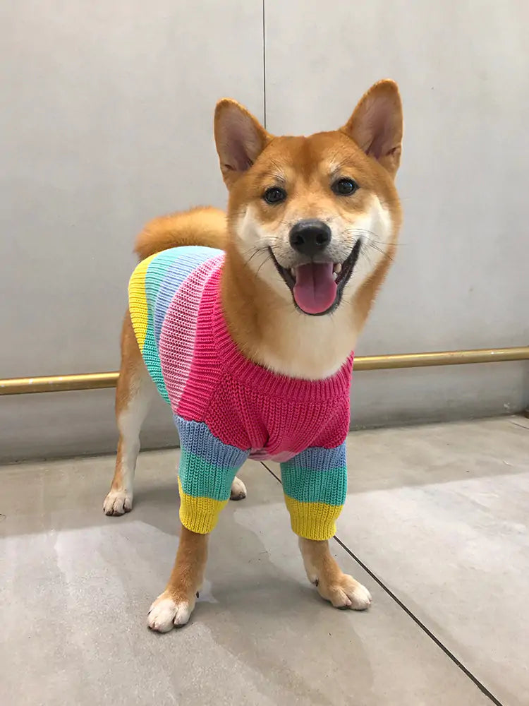 Rainbow Sweater