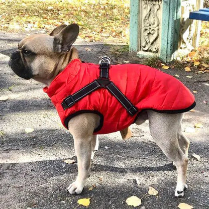 Puffy Paw Jacket