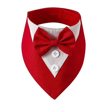 Tuxedo Bow Tie Collar