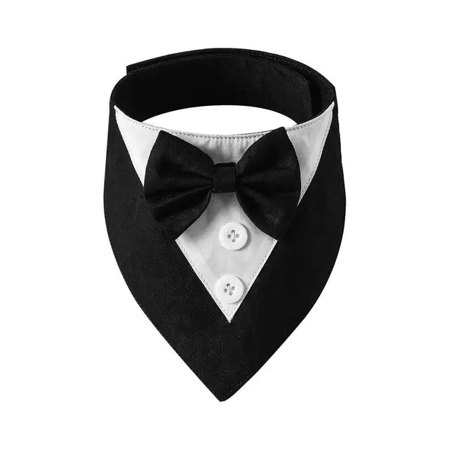 Tuxedo Bow Tie Collar