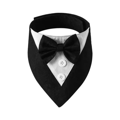 Tuxedo Bow Tie Collar