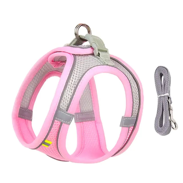 Dog Harness and Leash Combo