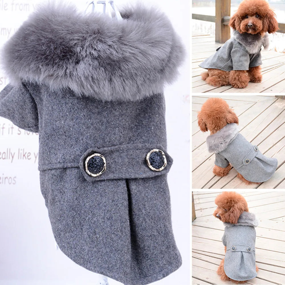 Pet Jacket