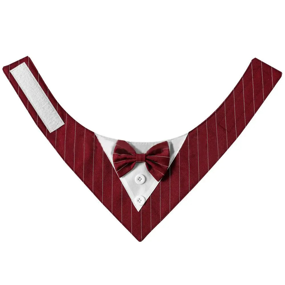 Tuxedo Bow Tie Collar